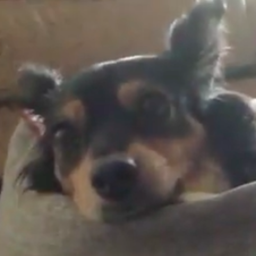 CoCo Hangout