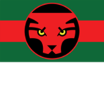 The Wakanda Kingdom