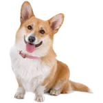 :D fwends