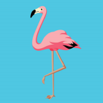 The Flamingo Fan Club! (Chat and make friends!)
