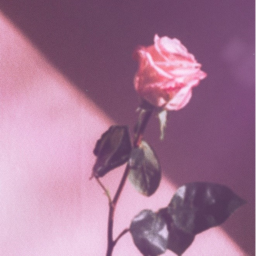💕