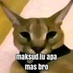 Mukk's group