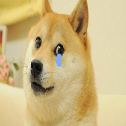 The doge's  Cemetery Memorial Site