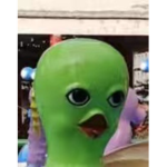 THE_GREENS