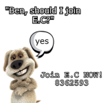 Empty Clips