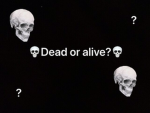 ROBLOXDEAD OFFICIAL