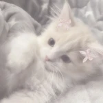 민초서버 Group Thumbnail