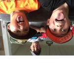 Broke bros