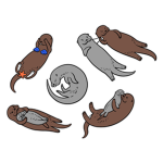 ANIMAS GANG WHOO!!!