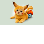 .+*Pokemon Squad*+.