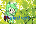 Leafy’s Studios