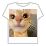 meep