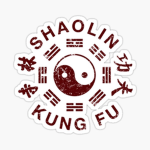 Shaolin Martial Arts