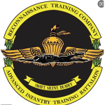 (Special Amphibious Reconnaissance Team)