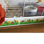 cool hamsters!!!