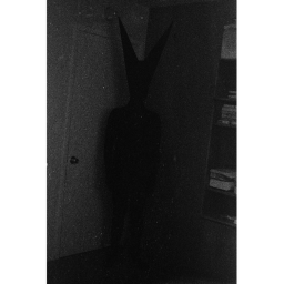 Run from the shadow