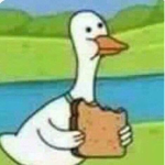 DuckDodgers Studios