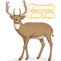 Wisconsin White Tails Arena