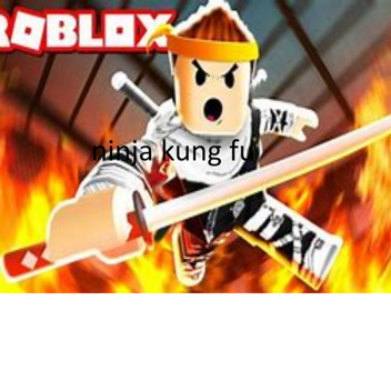 ninja kung fu