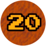 Level 20