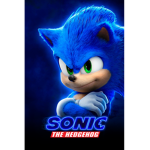 Sonic The Hedgehog Fans Group