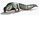crocodile fam