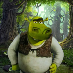 Shrek💯🗿