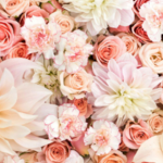 Sunlight Blossoms
