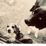 Groupe de Lyla