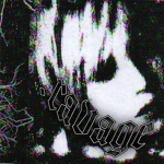 .ravage
