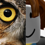 Owls team helpers