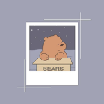 —The Brown Bears—
