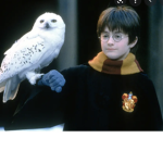 Harry Potter fan club~ <3
