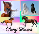 PONY/HORSE FANS ONLY