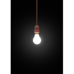 Light in The Dark Productions