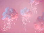 Daisies And Roses