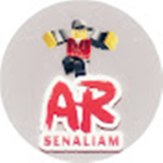 Arsenaliam