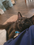 Jack and Tigger
