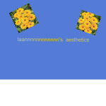 iaannnnnnnnnnnn's aesthetics
