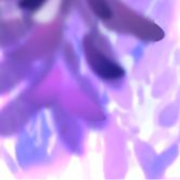 ~