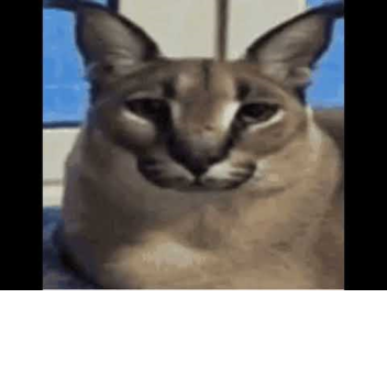 escape the evil floppa obby