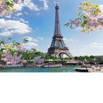 Paris Party!