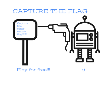  Capture the flag 