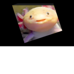 Axolotl Fan Hangout group