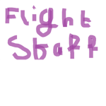 Flight staff