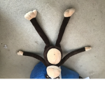 #monkey's