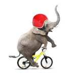 Bikes.