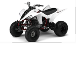 ATV group