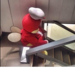.Wøndering Røse.