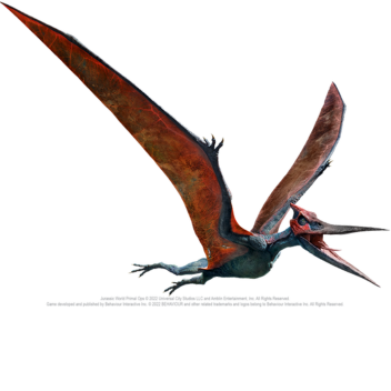 Survive from pteranodon!!!